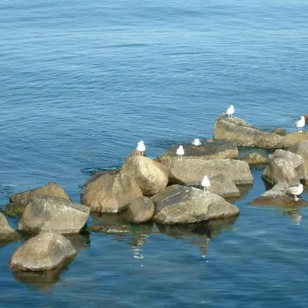 Floating Comfort In 보트호텔