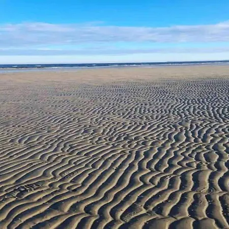 보트호텔 Floating Comfort In *