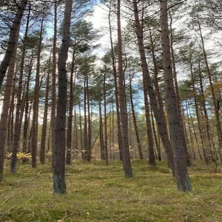 보트호텔 Floating Comfort In *