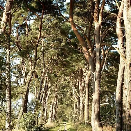 Floating Comfort In 보트호텔 *